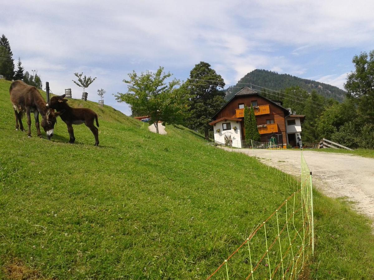 Stallhaeusl Schladming Eksteriør bilde